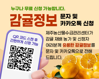 감귤정보 문자서비스 제공