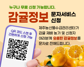 감귤정보 문자서비스 제공