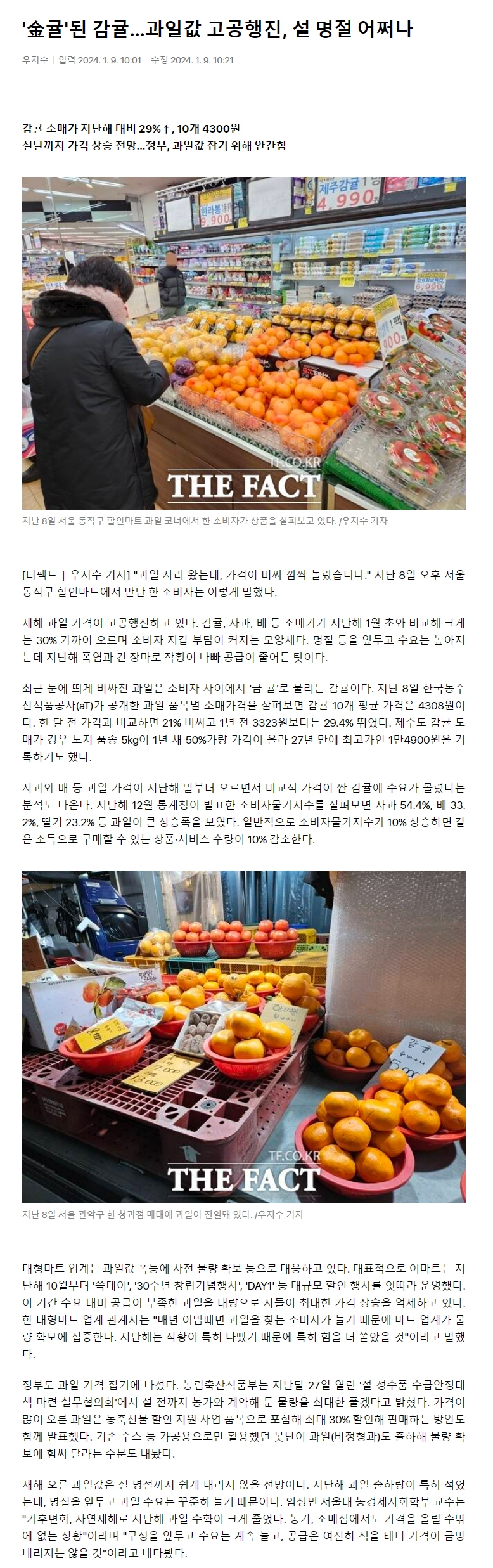'金귤'된 감귤…과일값 고공행진, 설 명절 어쩌나
