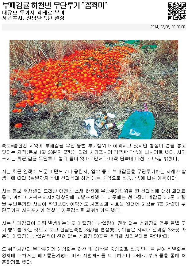 부태감귤 하천변 무단투기 