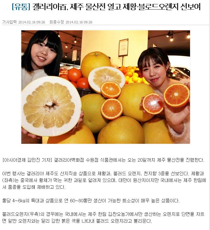 갤러리아백화점, 제주 물산전 열고 제황·블로드오렌지 선보여