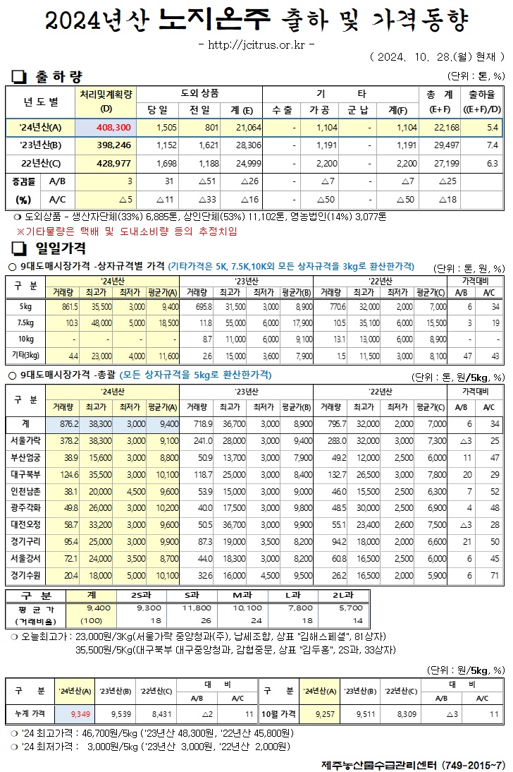 [노지온주]2024년산 출하 및 가격동향(10/28)