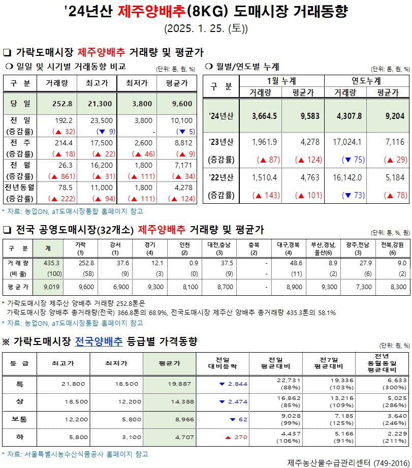 '24년산 제주양배추(8kg) 도매시장 거래동향(1/25)