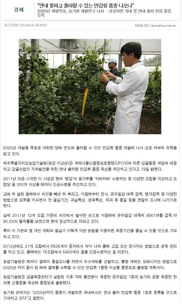 연내 꽃피고 출하할 수 있는 만감류 품종 나오나?