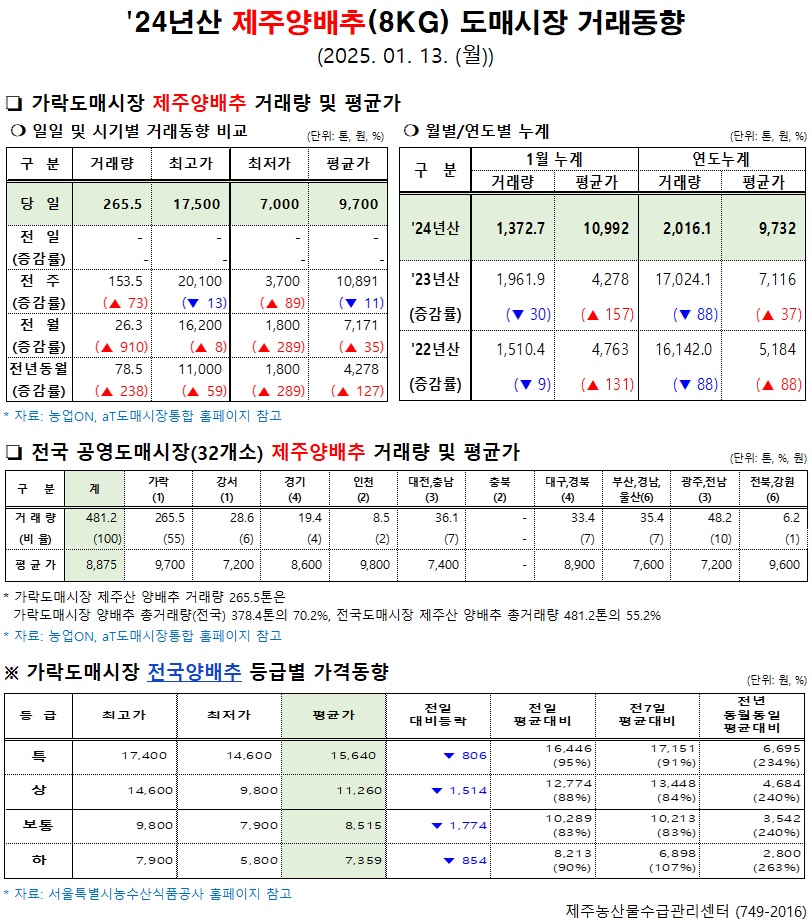 '24년산 제주양배추(8kg) 도매시장 거래동향(1/13)