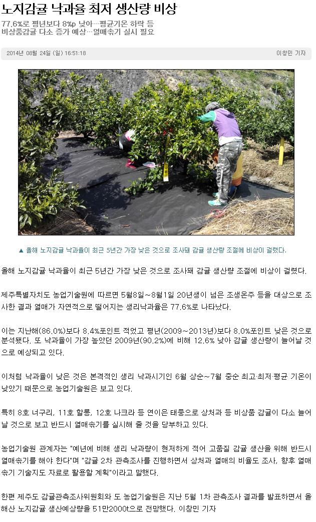 노지감귤 낙과율 최저 생산량 비상