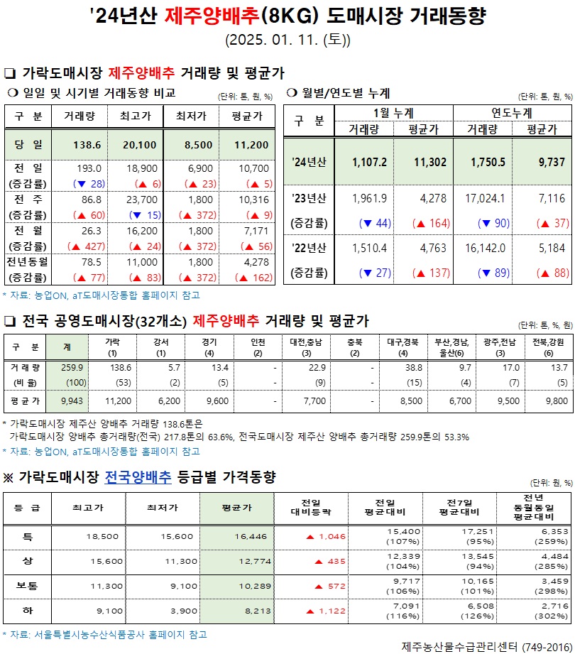 '24년산 제주양배추(8kg) 도매시장 거래동향(1/11)