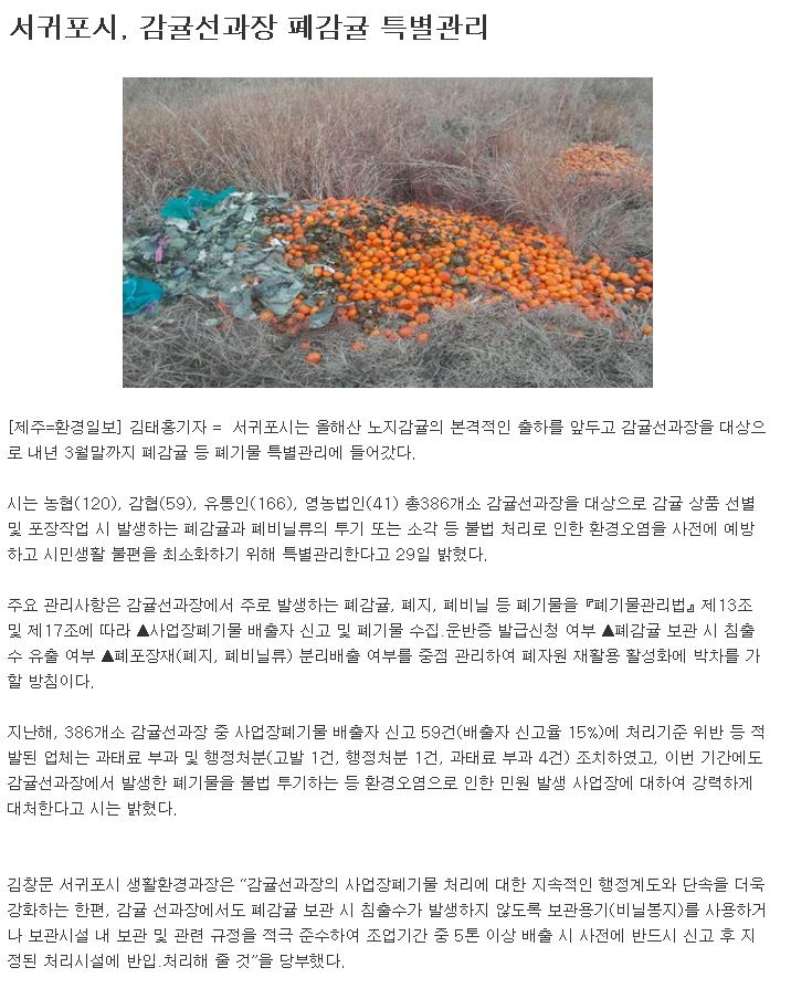 서귀포시, 감귤선과장 폐감귤 특별관리