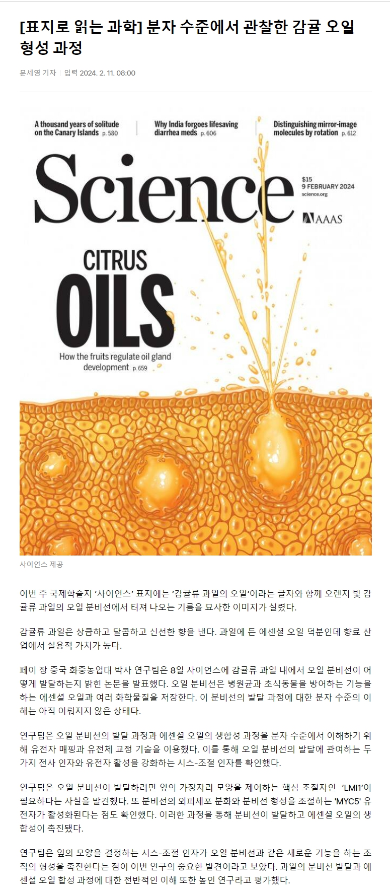 [표지로 읽는 과학] 분자 수준에서 관찰한 감귤 오일 형성 과정