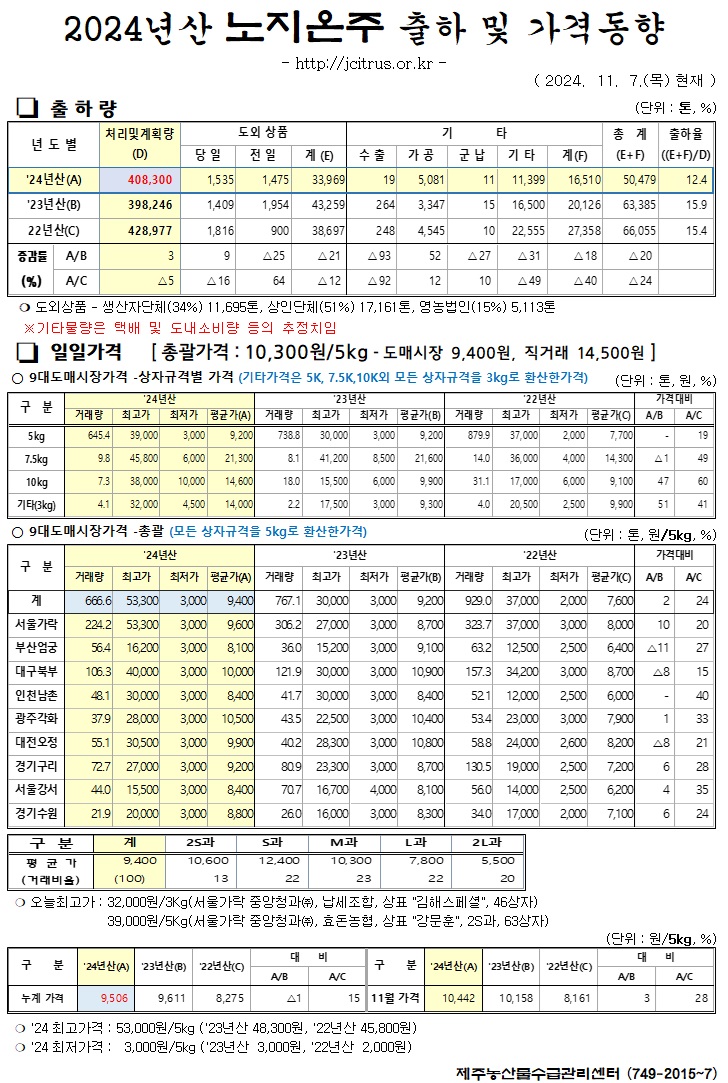 [노지온주]2024년산 출하 및 가격동향(11/7)