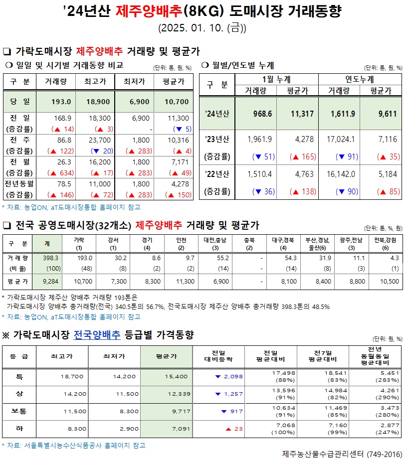 '24년산 제주양배추(8kg) 도매시장 거래동향(1/10)
