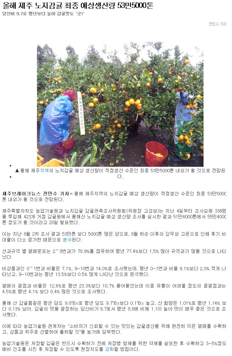 올헤 제주 노지감귤 최종 예상생산량 53만5000톤