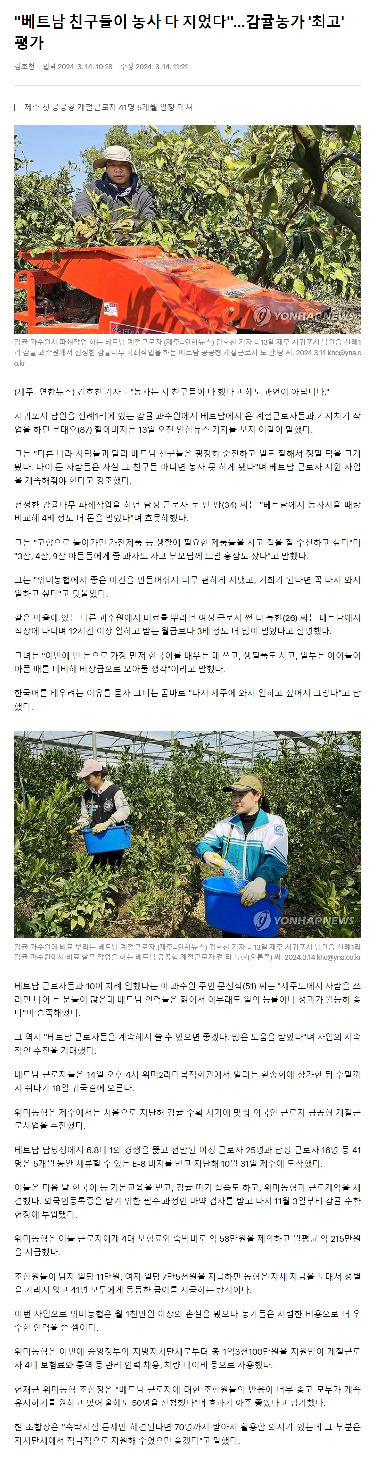 "베트남 친구들이 농사 다 지었다"…감귤농가 '최고' 평가