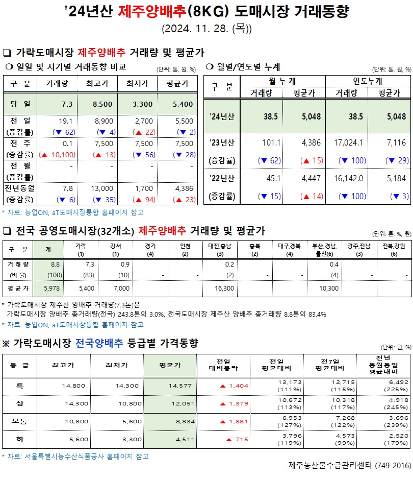 '24년산 제주양배추(8kg) 도매시장 거래동향(11/28)