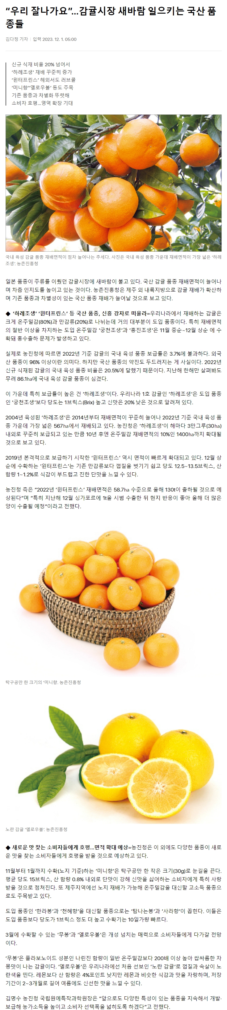 “우리 잘나가요”…감귤시장 새바람 일으키는 국산 품종들