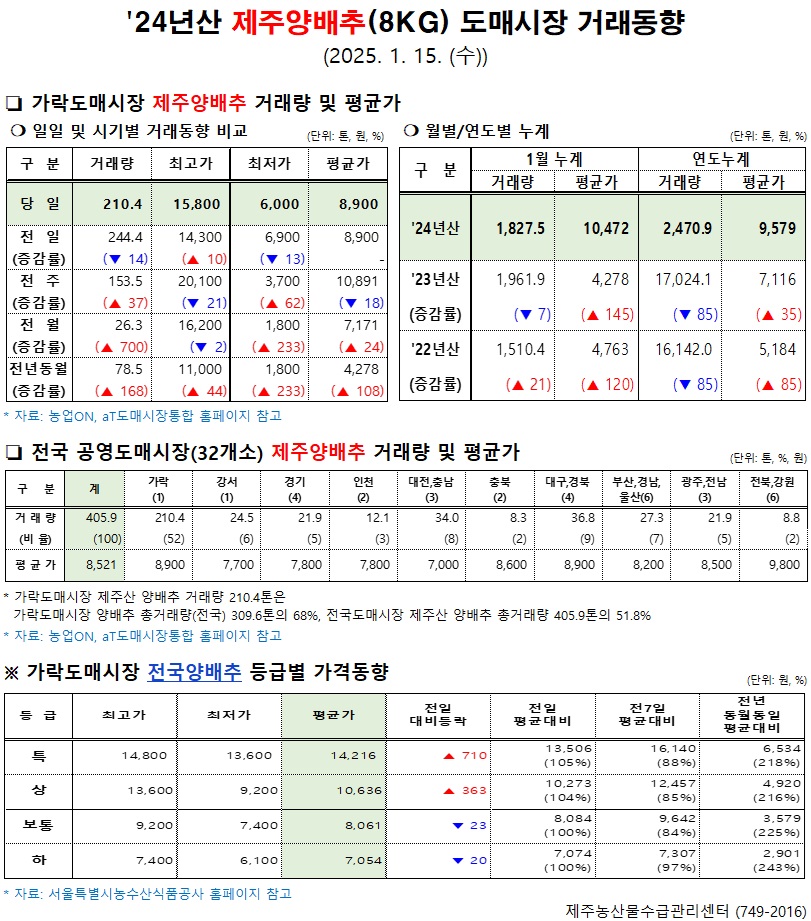'24년산 제주양배추(8kg) 도매시장 거래동향(1/15)