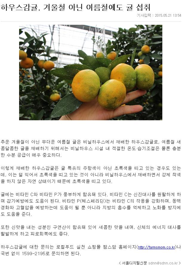 하우스감귤,겨울철 아닌 여름철에도 귤 섭취