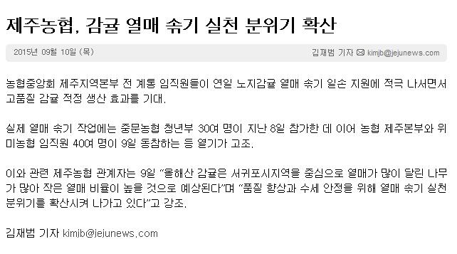 제주농협,감귤열매 솎기 실천 분위기 확산