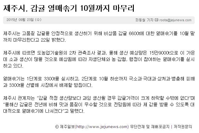 제주시, 감귤 열매솎기 10월까지 마무리