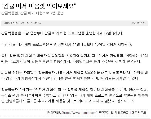 감귤 따서 마음껏 먹어보세요