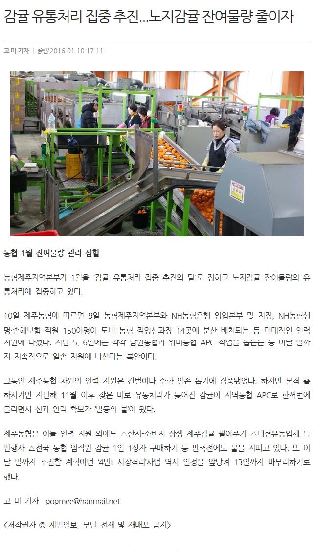 감귤유통처리 집중 추진.. 노지감귤 잔여물량 중이자..