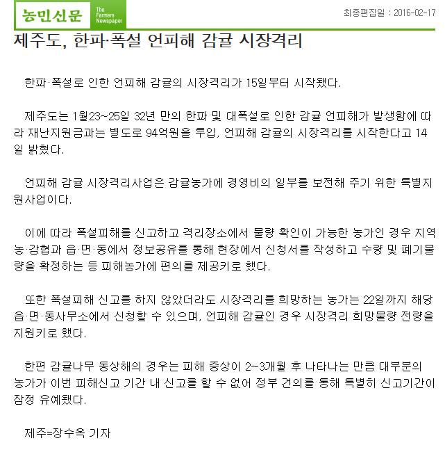 제주도, 한파,폭설 언피해 감귤 시장격리