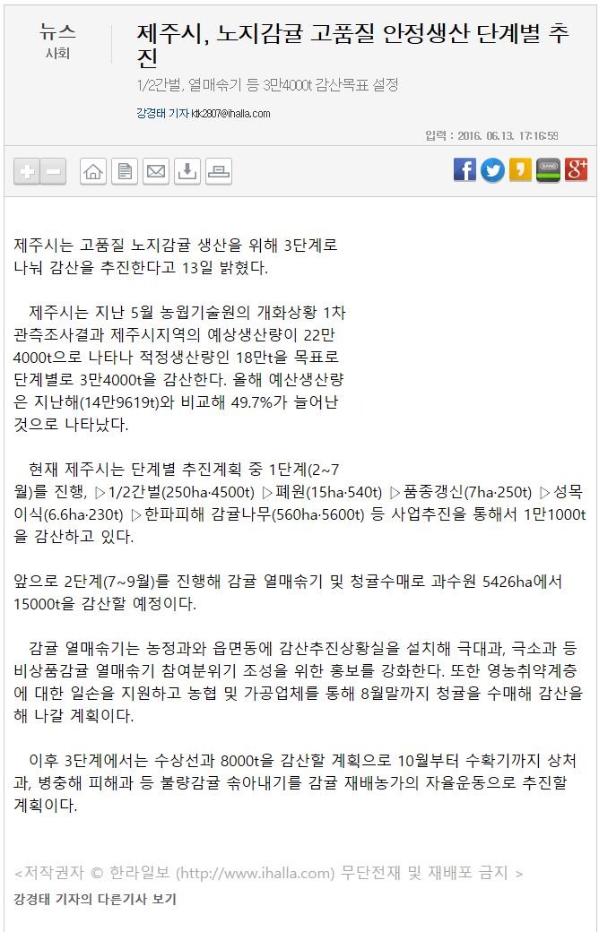 제주시,노지감귤 고품질 안정생산 단계별 추진
