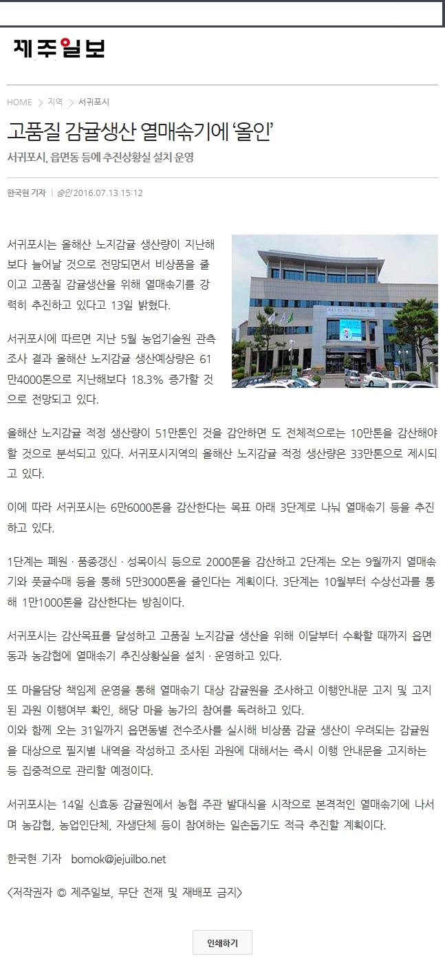 고품질 감귤생산 열매솎기에 