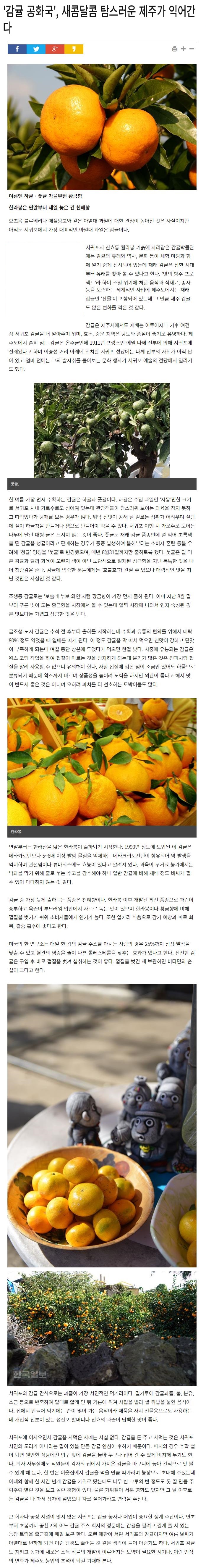 감귤공화국, 새콤달콤 탐스러운 제주가 익어간다