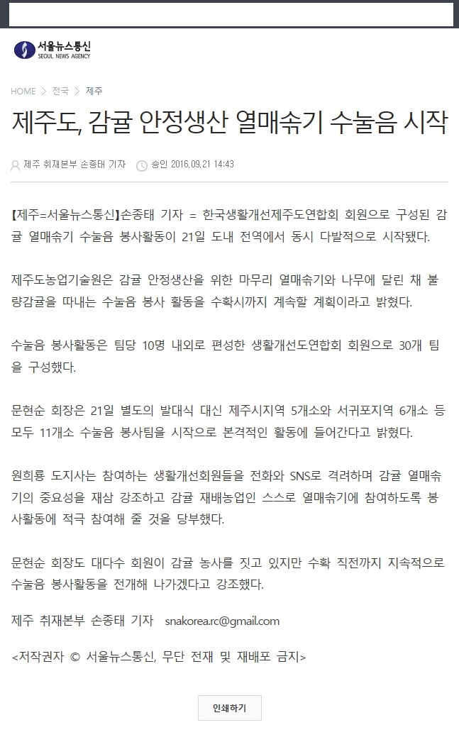 제주도, 감귤 안정생산 열매솎기 수눌음 시작