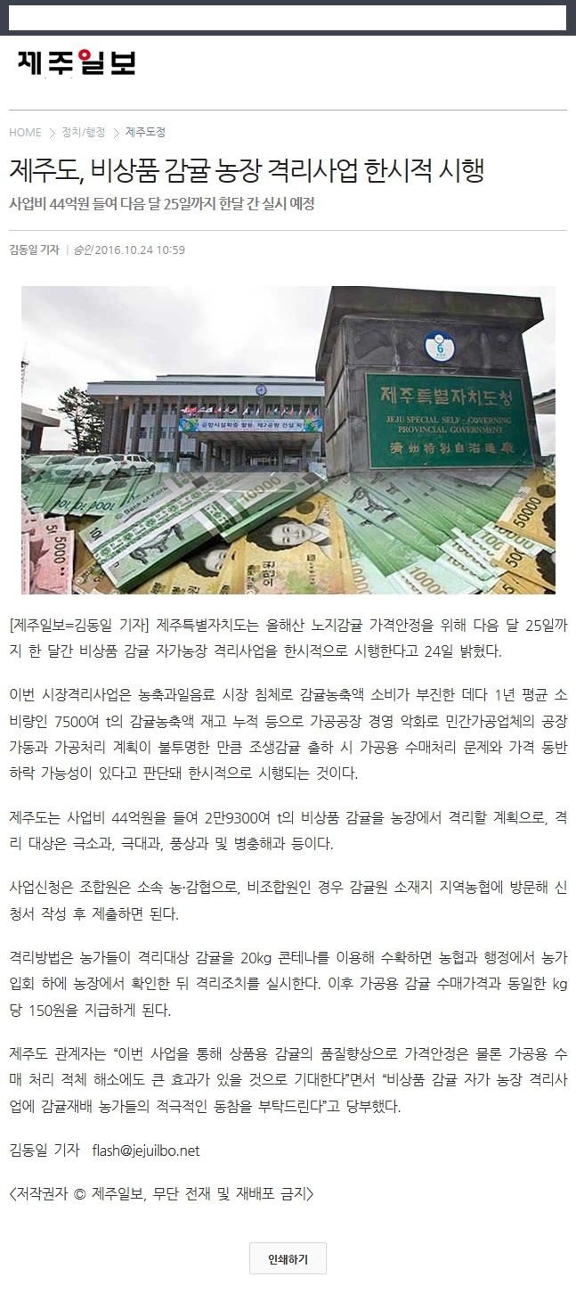 제주도, 비상품 감귤 농장 격리사업 한시적 시행