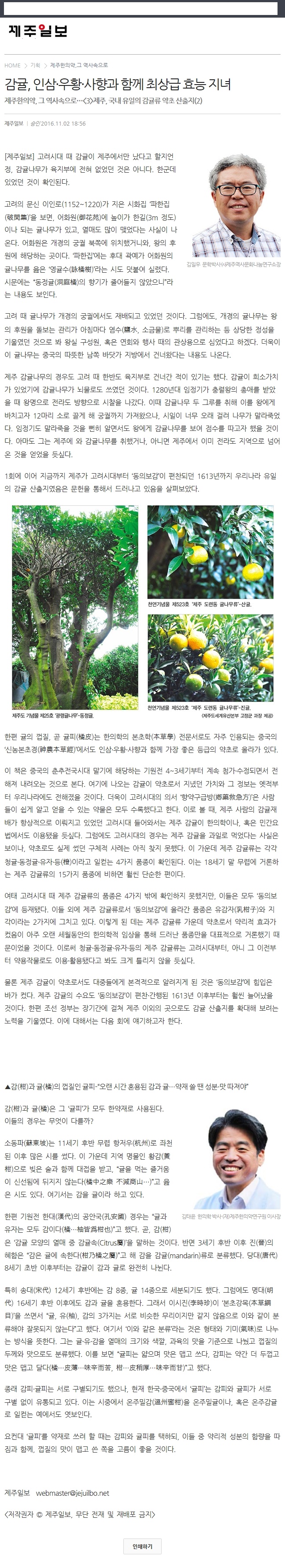 감귤,인삼·우황·사향과 함께 최상급 효능 지녀