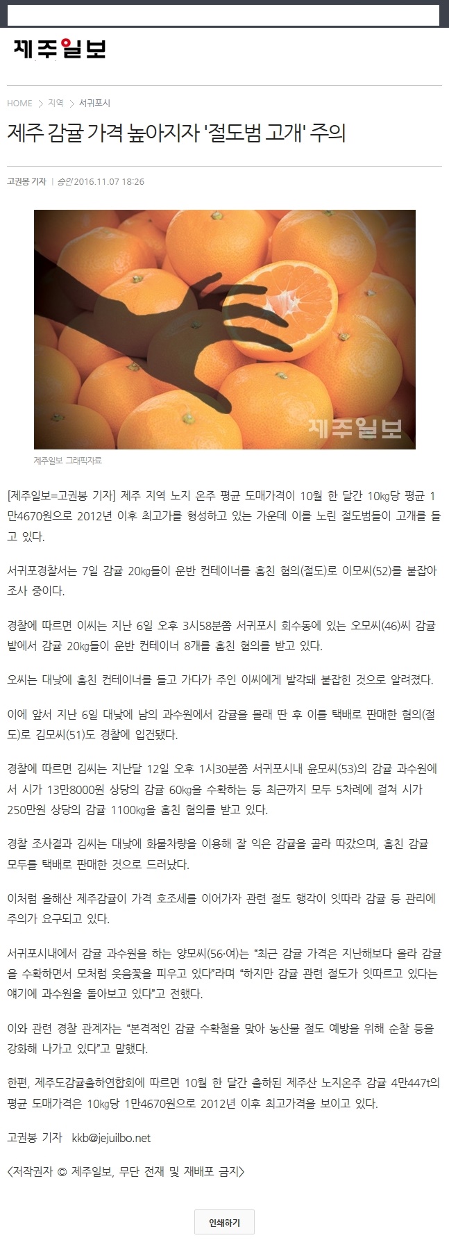 제주감귤 가격 높아지자 '절도범고개' 주의