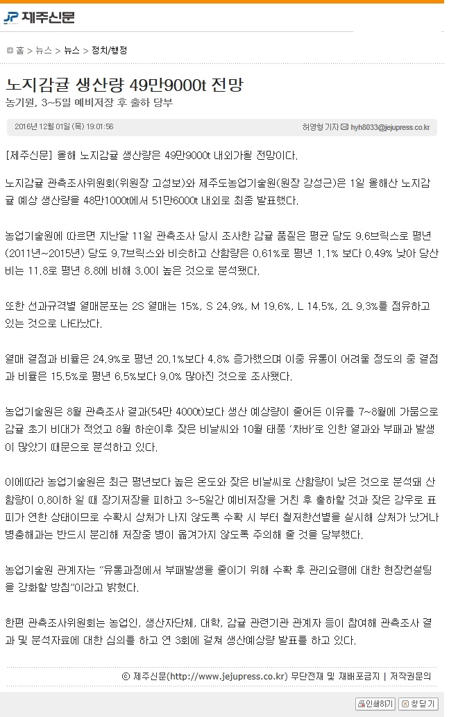노지감귤 생산량 49만9000톤 전망