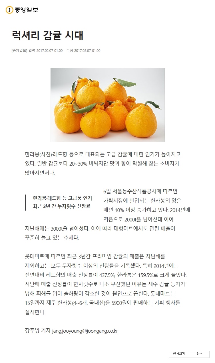 럭셔리 감귤 시대