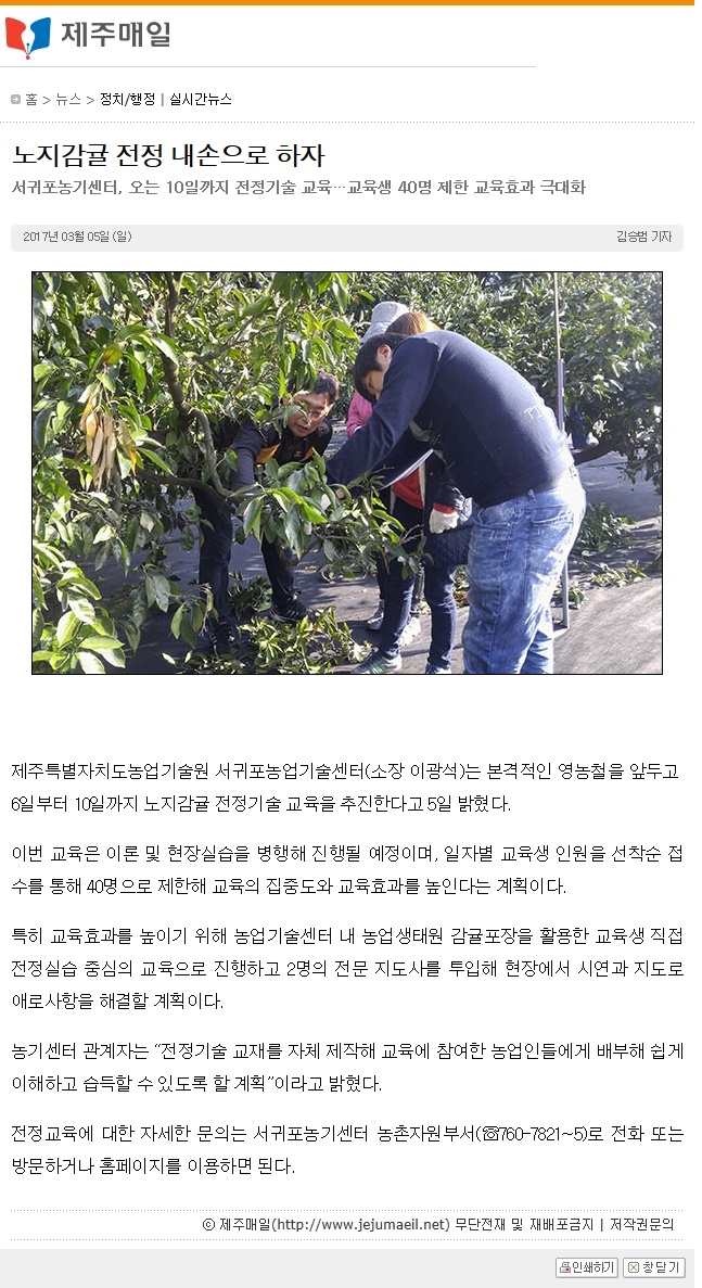 감귤 전정 내손으로 하자