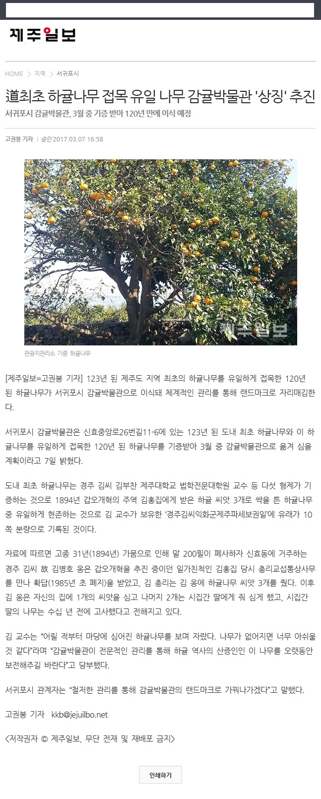 도최초 하귤나무 접목 유일 나무 감귤박물관 '상징'추진