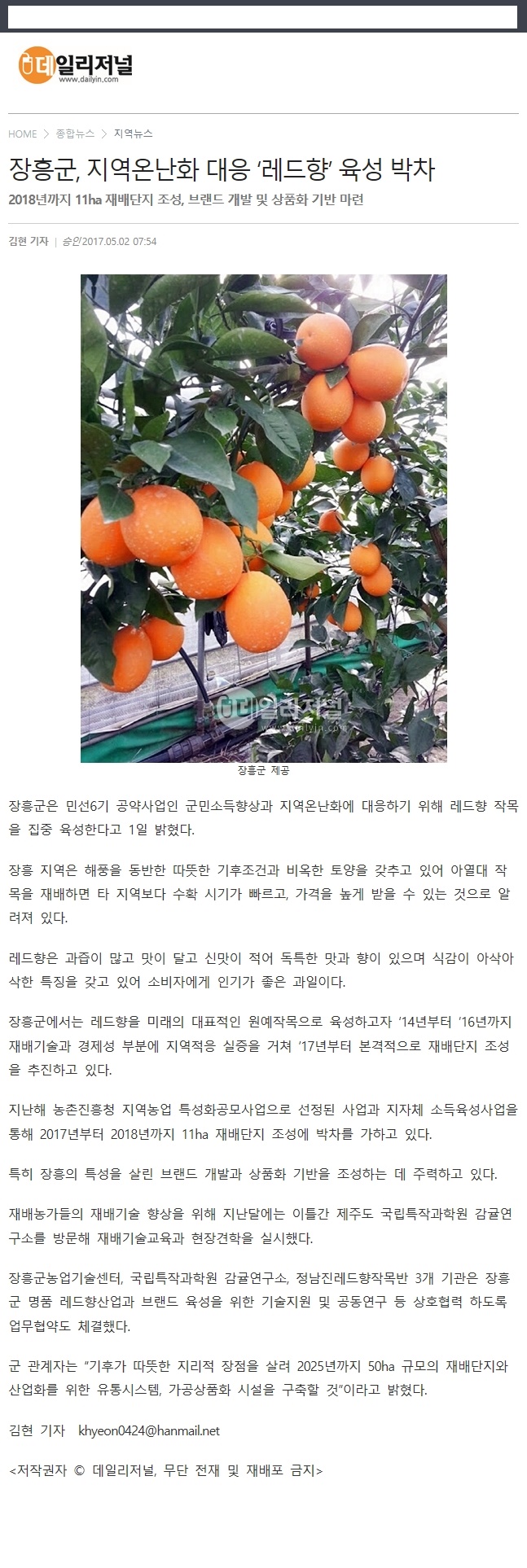 장흥군, 지역온난화 대응 '레드향'육성 박차