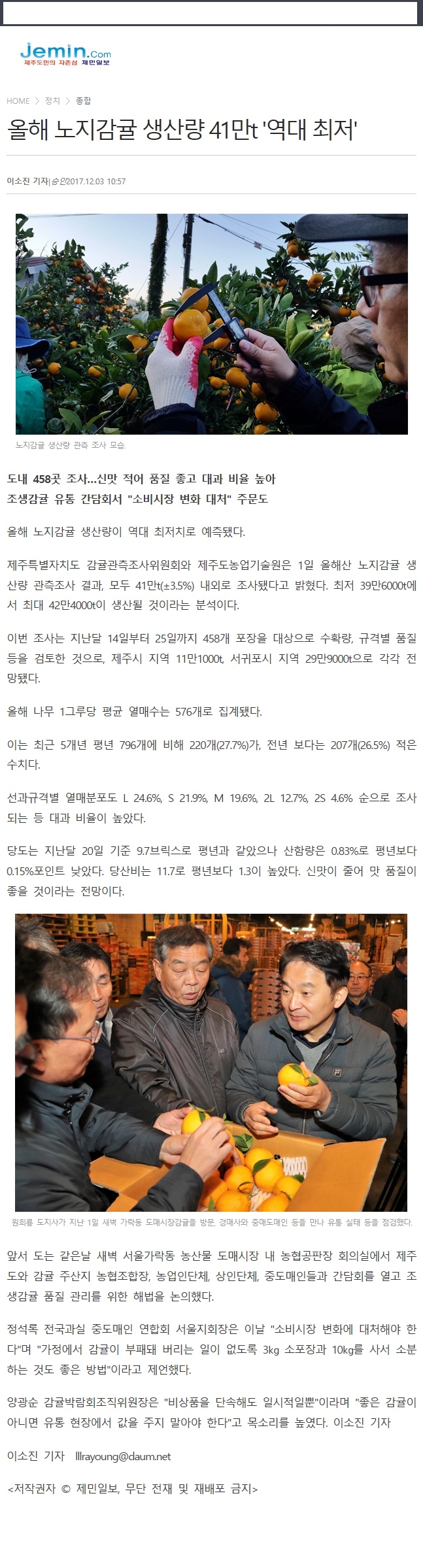 올해 노지감귤 생산량 41만톤 '역대최저'