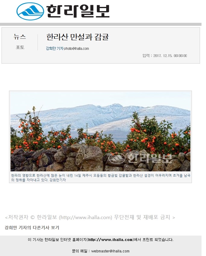 한라산 만설과 감귤