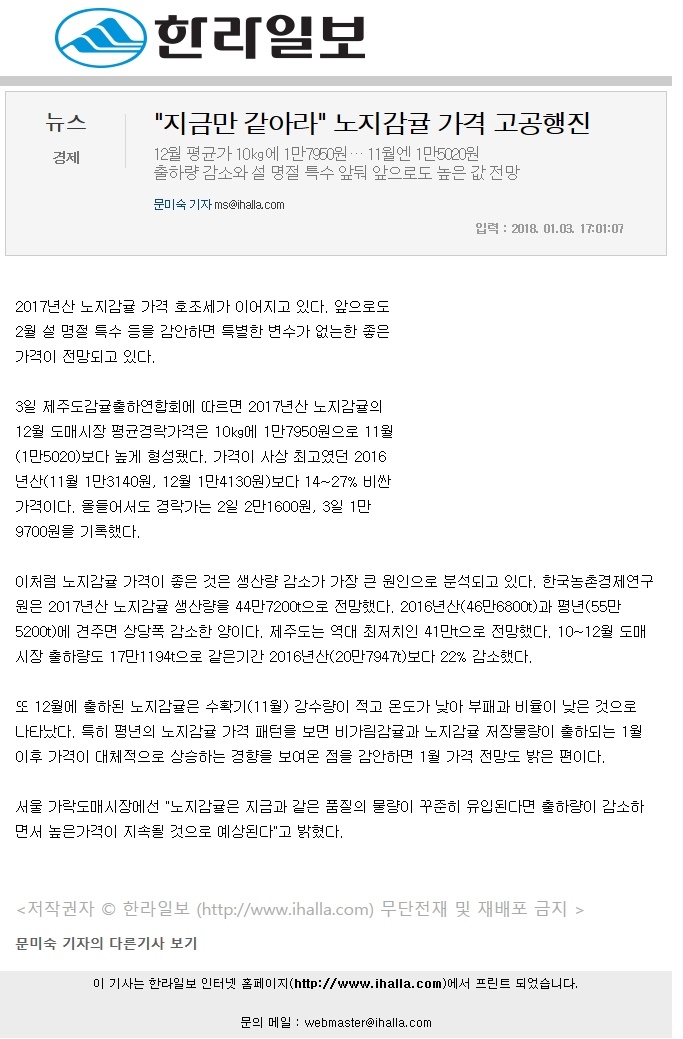 '지금만 같아라'노지감귤 가격 고공행진