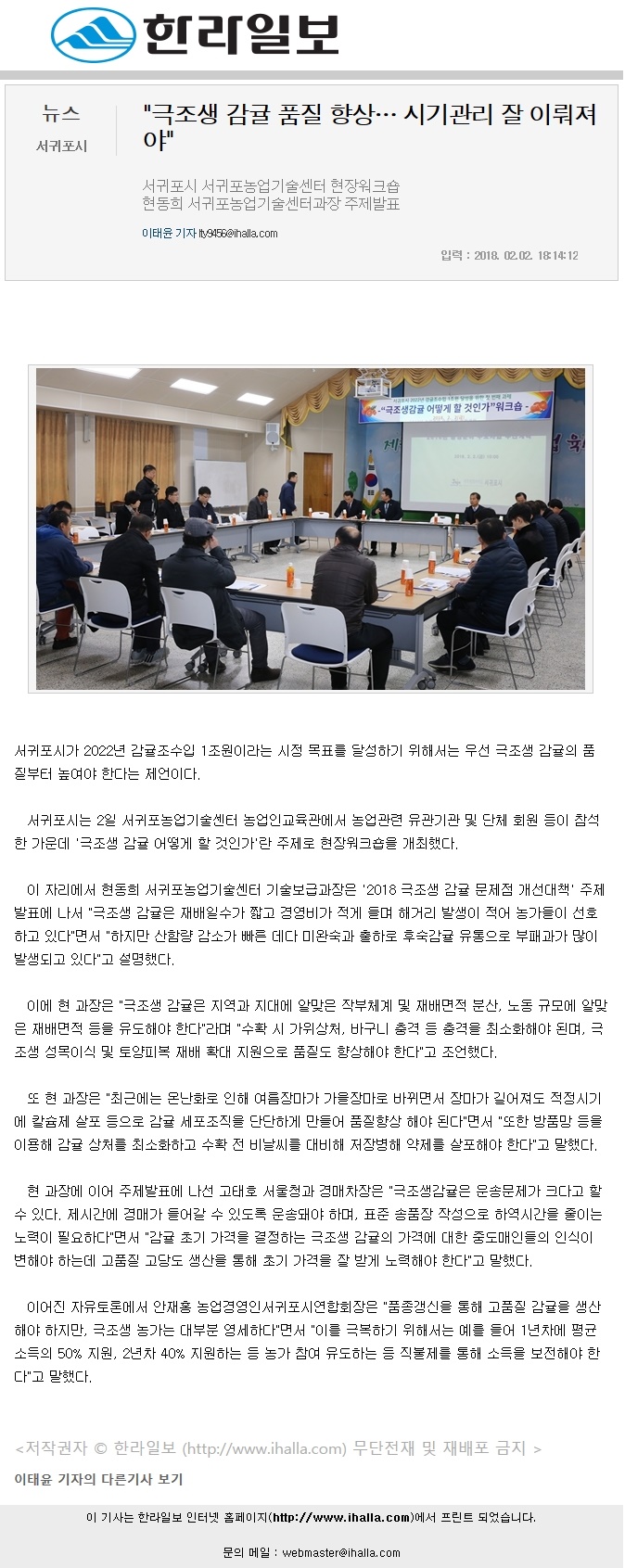 극조생 감귤 품질 향상... 시기관리 잘 이뤄져야