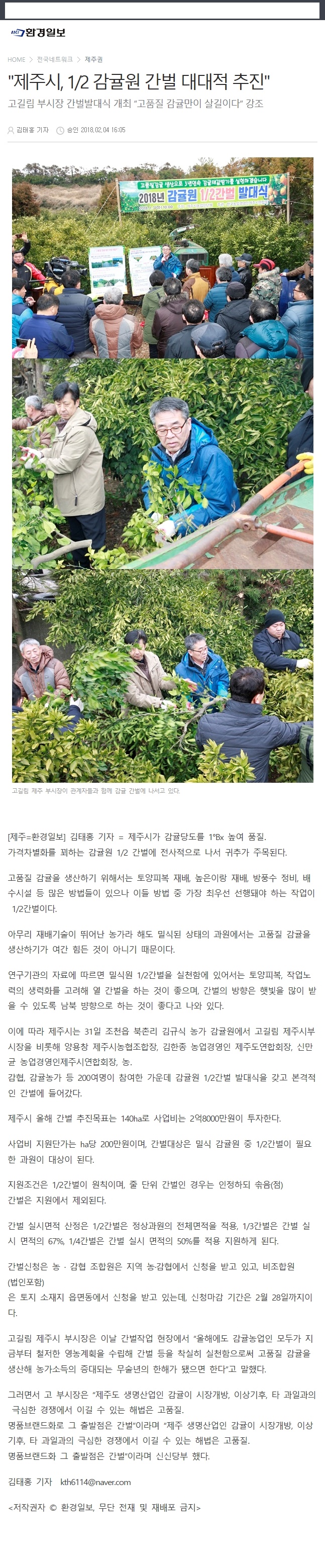 제주시. 1/2감귤원 간벌 대대적 추진
