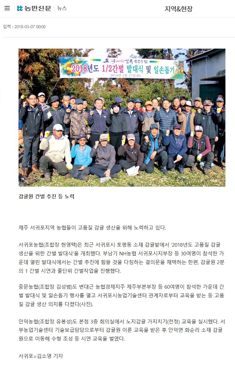 서귀포지역 농협들'고품질 감귤 생산'