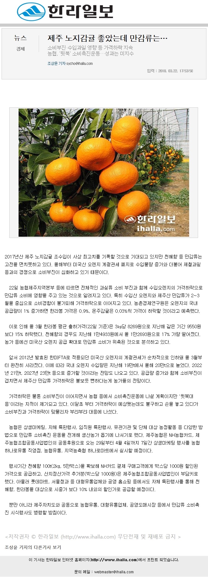 제주 노지감귤 좋았는데 만감류는..