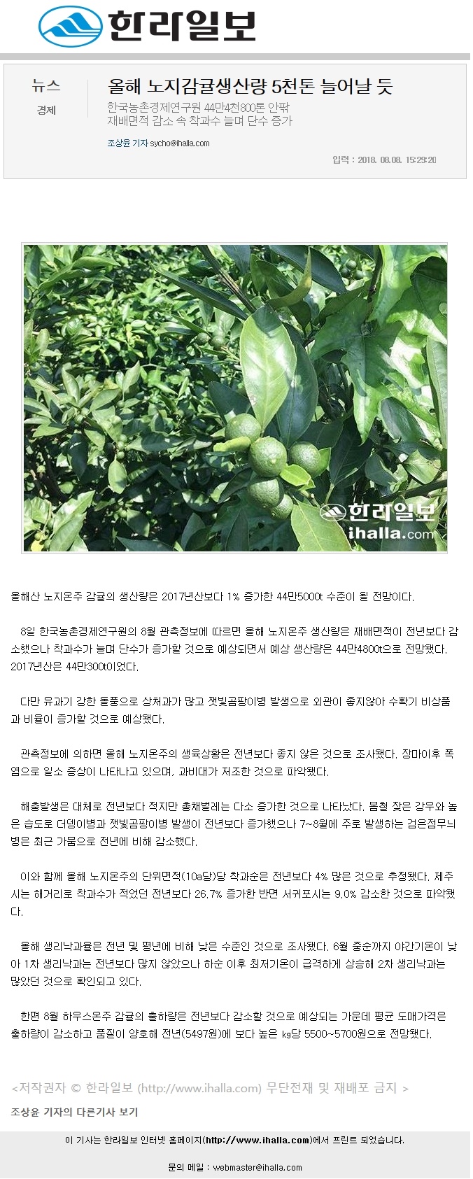 올해 노지감귤생산량 5천톤 늘어날 듯