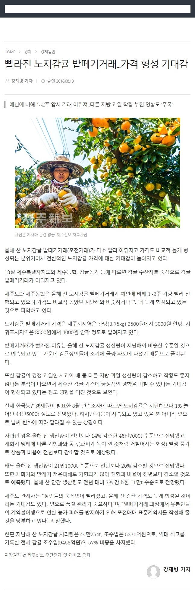 빨라진 노지감귤 밭떼기거래.. 가격 형성 기대감