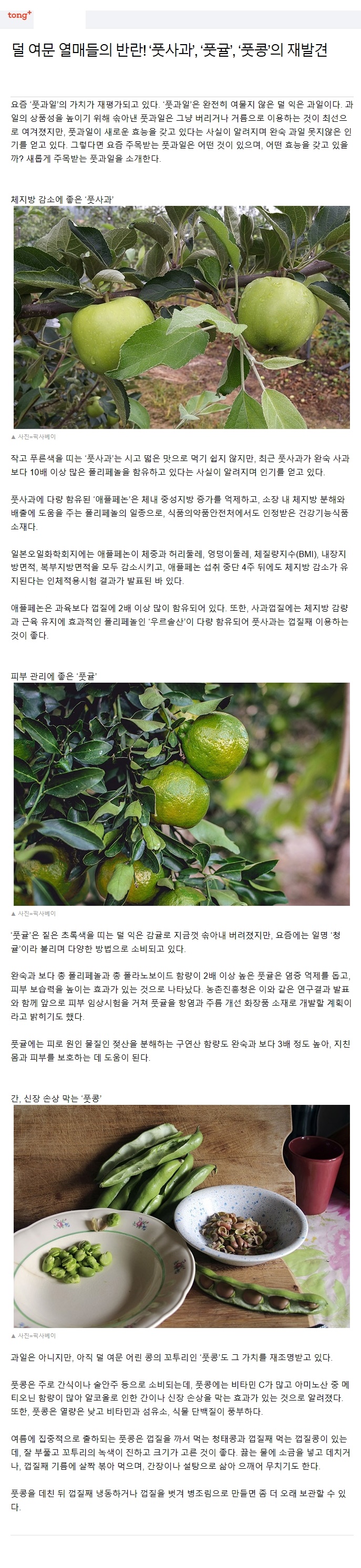 덜 여문 열매들의 반란,'풋사과,풋귤, 풋콩'의 재 발견
