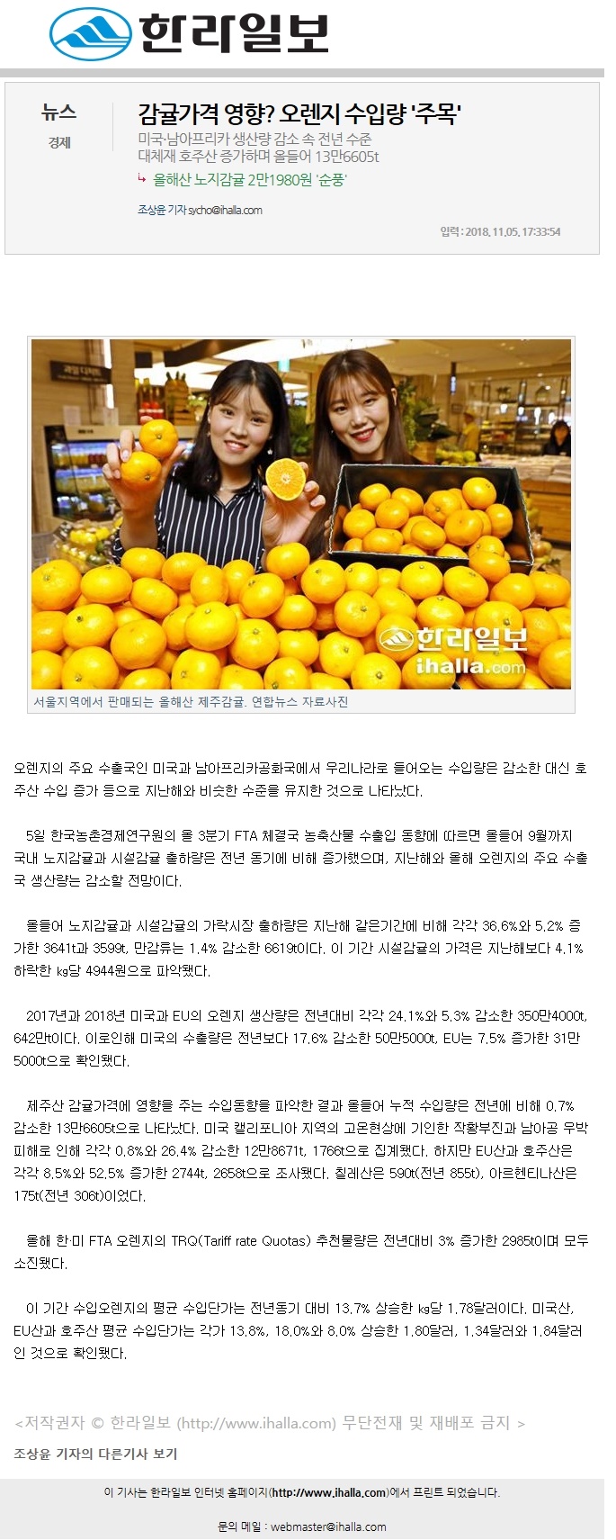 감귤가격영향? 오렌지 수입량 '주목'