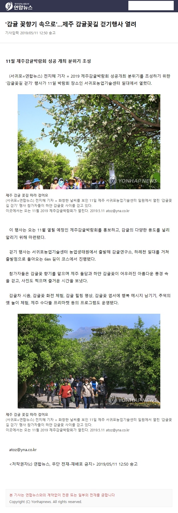 '감귤 꽃향기 속으로'...제주 감귤꽃길 걷기행사 열려